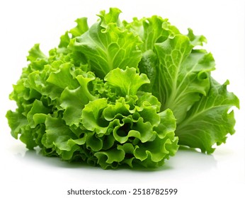 lettuce leaves for breakfast or lunch salad on white background