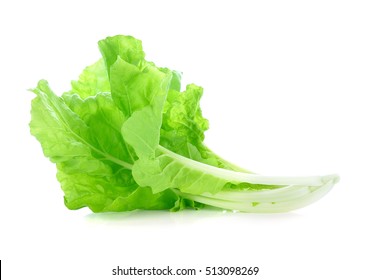 lettuce leaves isolated on white background - Powered by Shutterstock