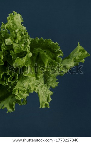 Similar – Image, Stock Photo Fresh leaf salad on a board with text space on the left