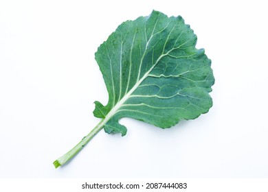 Lettuce Plant Isolated On White Background For Design Elements