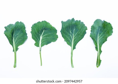 Lettuce Plant Isolated On White Background For Design Elements