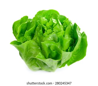 Lettuce Salad Isolated On White