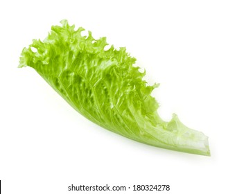 Lettuce. Salad Leaf Isolated On White Background