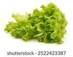 Lettuce Salad leaves, isolated on white background