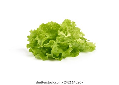 Lettuce Salad leaves, isolated on white background - Powered by Shutterstock