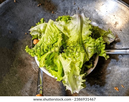 Lettuce or sla leaves (Lactuca sativa) is a vegetable plant that is usually grown in temperate and tropical areas. The main use is as a salad. Lettuce is used in a variety of dishes, including soups
