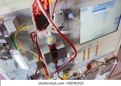 Leukemia Stem Cells Cancer Blood Transfusion