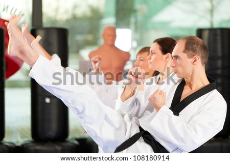 Leute im Fitnessstudio beim Training von Kampfsport, es geht um Taekwondo, der Trainer hat den schwarzen GÃ?Â¼rtel