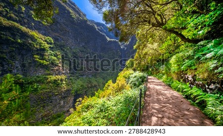 Levada do Risco, Mountain Footpath, Irrigation Channel Maintenance Trail, Madeira, Portugal, Europe