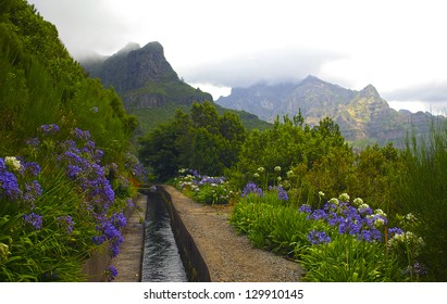 Levada Of Madeira.Portugal