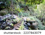 Levada Nova and Levada do Moinho in Madeira. Beautiful hiking path next to the levadas with waterfalls and tunnels