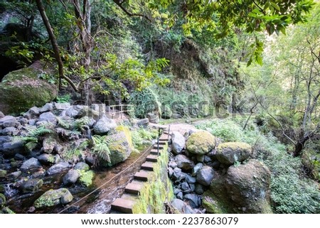 Levada Nova and Levada do Moinho in Madeira. Beautiful hiking path next to the levadas with waterfalls and tunnels