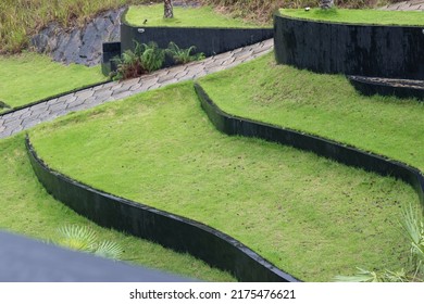 Level Of Green Gras.  Garden Design. Outside House Landscape.