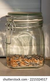 Lever Top Glass Jar With Bird Seed Inside