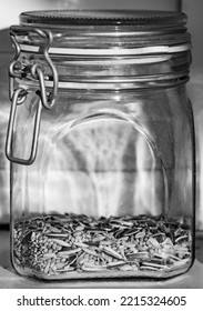 Lever Top Glass Jar With Bird Seed Inside