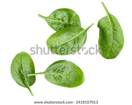 levitated spinate leaves on white isolated background