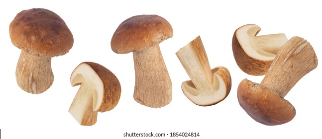Levitating porcini mushrooms isolated on white background. Boletus mushrooms on a white background. Package design element.  - Shutterstock ID 1854024814