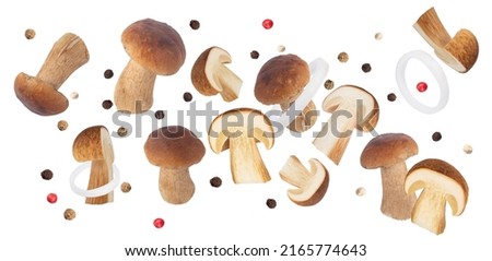Levitating porcini mushrooms isolated on white background. Boletus, onion, onion rings, variant for packaging. Mixture of peppers isolated on white background