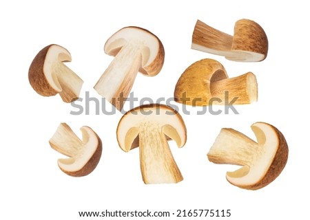 Levitating porcini mushrooms isolated on white background. Boletus variant for packaging