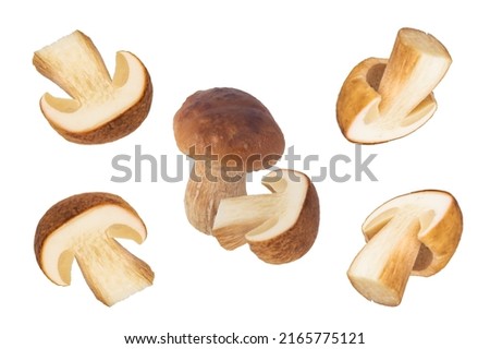 Levitating porcini mushrooms isolated on white background. Boletus variant for packaging