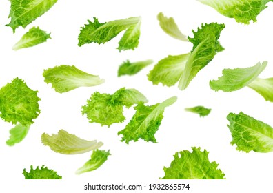 Levitation of green lettuce leaves - Shutterstock ID 1932865574