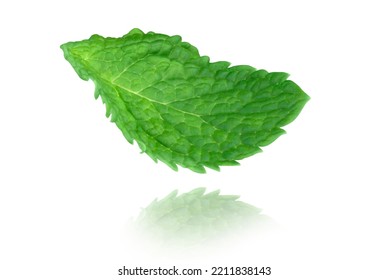 Levitation Of Mint Leave Isolated On White Background With Reflection.