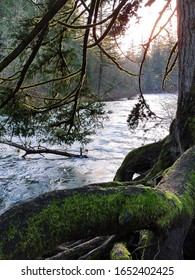 Lewisville Park Is A 154-acre Regional Park Located On The East Fork Lewis River, Two Miles North Of The Battle Ground In Clark County, Washington.