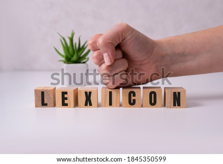 Lexicon word made with building blocks on white