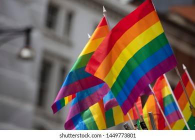 Female Spectator Holding Gay Rainbow Flag Stock Photo (Edit Now) 389335486