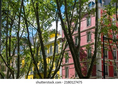 Liberty Avenue With Green Path. Lisboa, Portugal. 