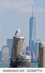 Liberty Island Overlooking Manhattan Cityscape, New York City, USA