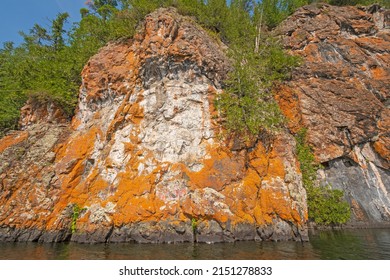 Lichen Colored Cliffs On A Remote Lakeshore On Ottertrack Lake In Quetico Provincial Park In Ontario