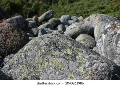 lichen on a rock in an esker. - Shutterstock ID 2040261986
