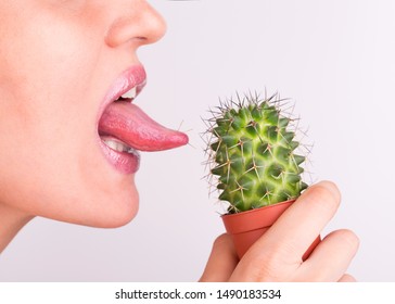 Lick the prickly cactus with your tongue. Cactus needles in the language of a girl. Girl licks tongue prickly cactus.