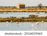 Lidi di Comacchio Adriatic Sea beach and regional park Po Delta storm in summer emilia romagna 