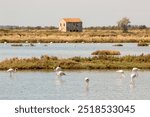 Lidi di Comacchio Adriatic Sea beach and regional park Po Delta storm in summer emilia romagna 