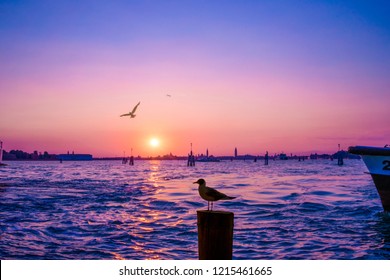 Lido Di Venezia Sunset