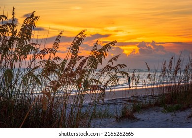 Lido Key Beach, Sarasota, Florida, USA at sunset.