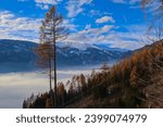 Lienz covered by fog, sun shines on the fog, with trees in the foreground. Lienzer Dolomites