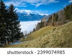 Lienz covered by fog, sun shines on the fog, with trees in the foreground. Lienzer Dolomites