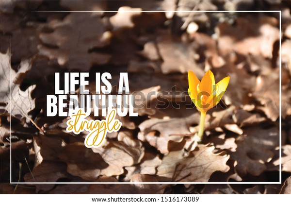 Life Beautiful Struggle Beautiful Life Quotes Stock Photo Edit