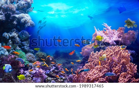 Life in a coral reef. Rich colors of tropical fish. Animals of the underwater sea world. Ecosystem.