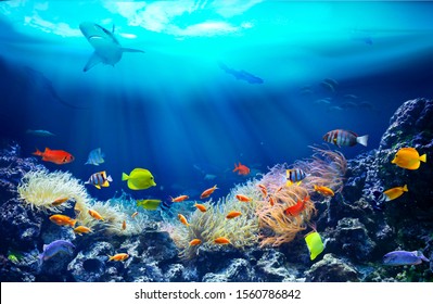 Life in a coral reef. Underwater sea world. Colorful tropical fish. Ecosystem.