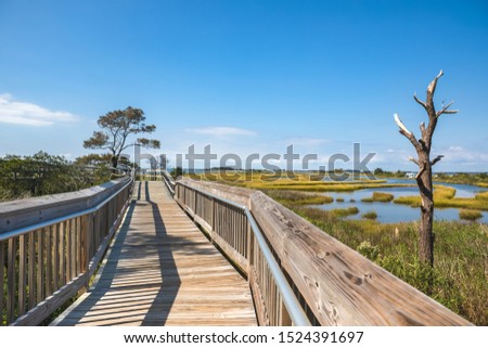 Life of the Forest Nature Trail at Assateague National Seashore in Maryland on the Delmarva Peninsula in early autumn