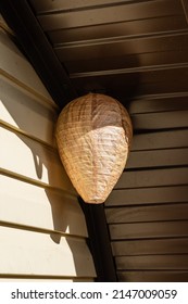 Life hack. Wasp nest decoy of paper in form of elongated ball under roof of country house. Close-up of false wasp nest under brown metal profile roof. Sunny spring day.