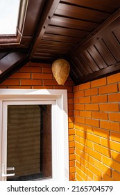 Life hack. Wasp nest decoy of paper in form of elongated ball under roof of country house. Close-up of false wasp nest under brown metal profile roof. Brick wall made of orange Italian facing bricks.