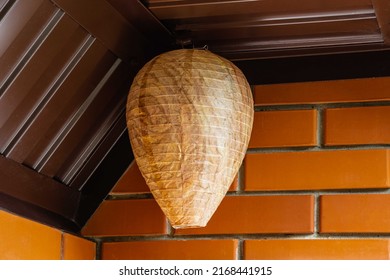 Life hack. Wasp nest decoy of paper in form of elongated ball under roof of country house. Close-up of false wasp nest under brown metal profile roof. Brick wall made of orange Italian facing bricks.