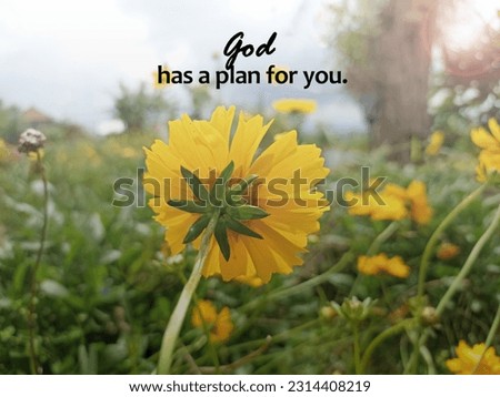 Life inspirational motivational quote - God has a plan for you. Spiritual religious concept with nature background of yellow cosmos flowers and light in the garden. Surrender and believe in God.