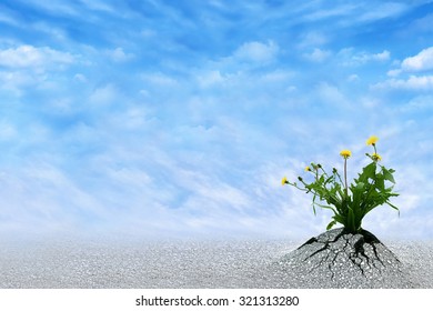 Life Persists. Inspirational And Conceptual Image For Hope, Winning, Never Give Up, Struggle, Persistence, Motivation Etc. Copy Space For Presentation Text.