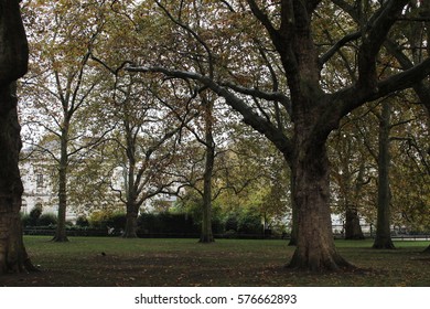 Life In A Photo
A Tree, Which Without Asking For Anything In Return, Gives Us Oxygen, One Of The Main Ingredients To Live, And The World Looking To Cut Them